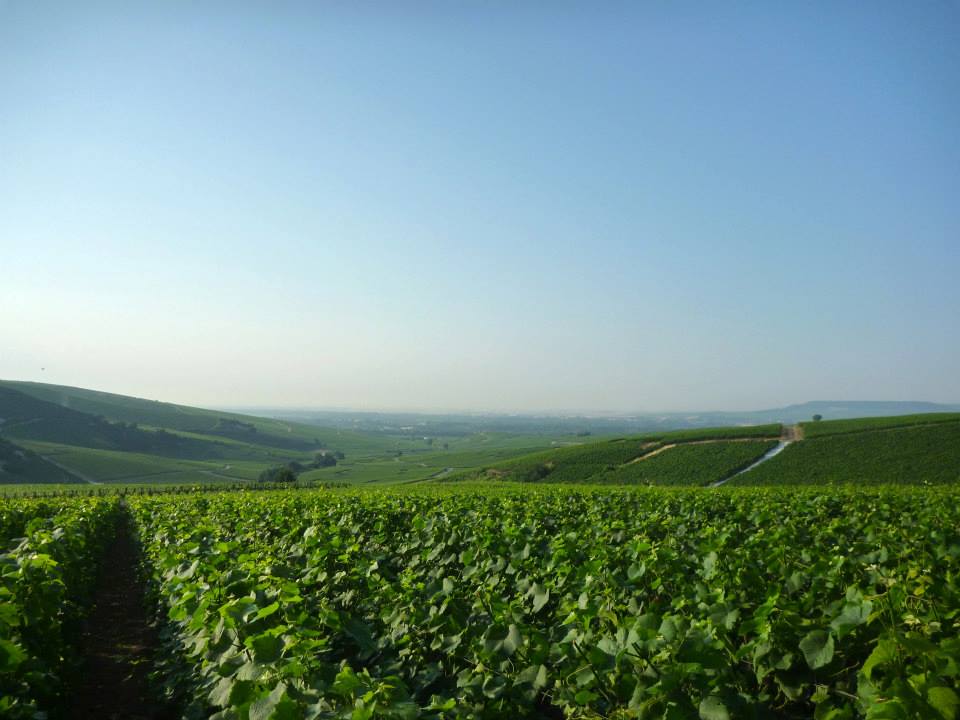 Sint-Martinus den XIIde - Kamp Curfoz JIN 2013